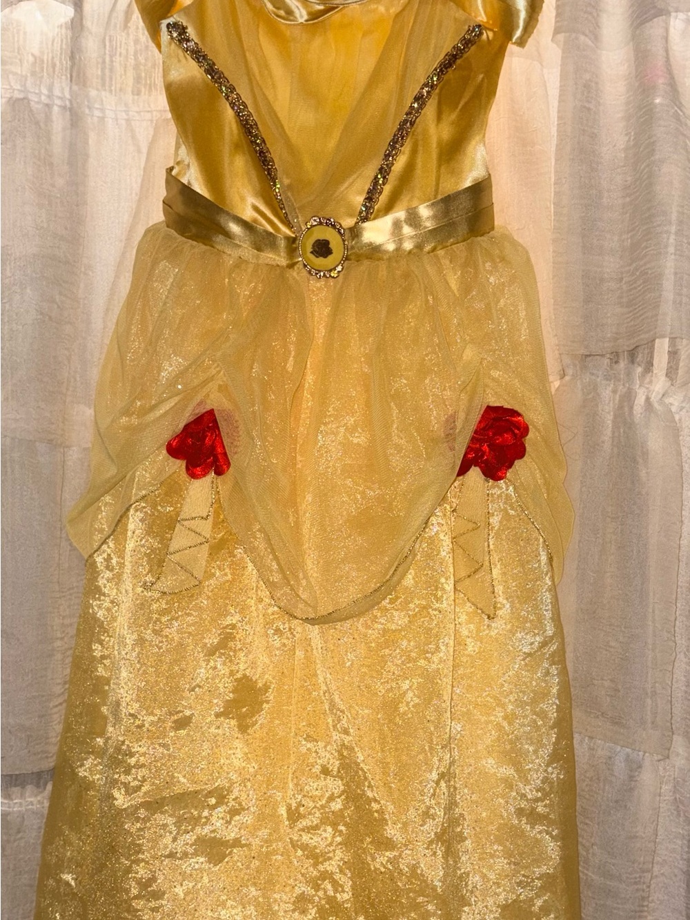 Gold Belle Princess Costume Dress with Red Accents